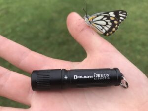 Olight keyring flashlight review and butterfly