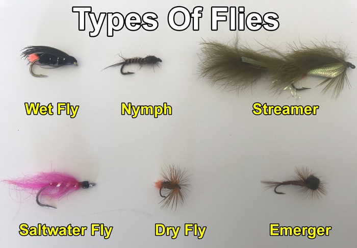 Types of fly fishing flies.