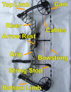 Parts Of A Compound Bow With Diagrams
