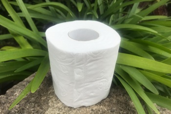 Alternatives to toilet paper