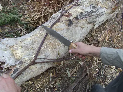 Bowie knife review. Chopping branches.