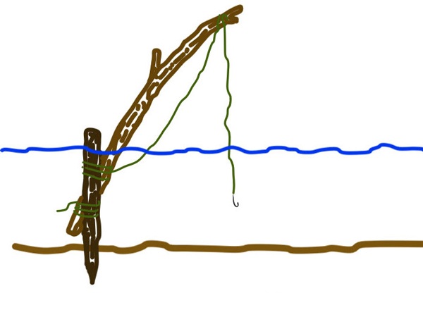 Bushcraft limb line fishing
