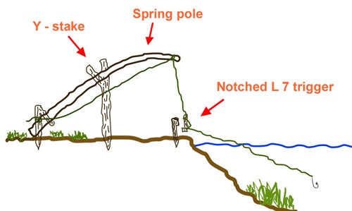 Limb line spring pole trigger