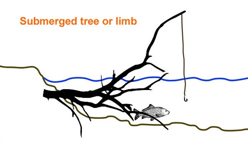 Limb line submerged tree