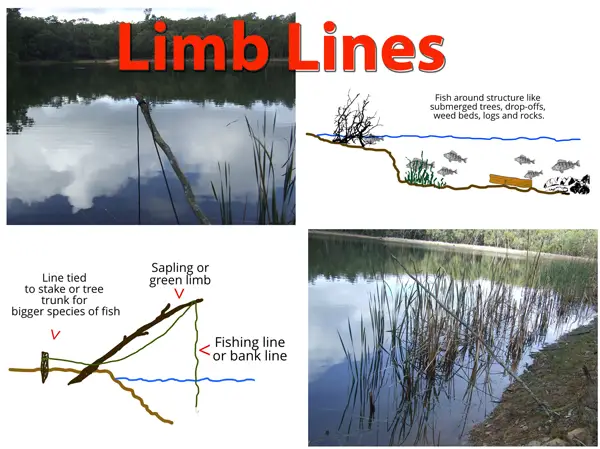 Survival fishing limb lines.