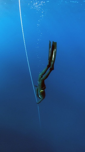 Freediving wetsuits