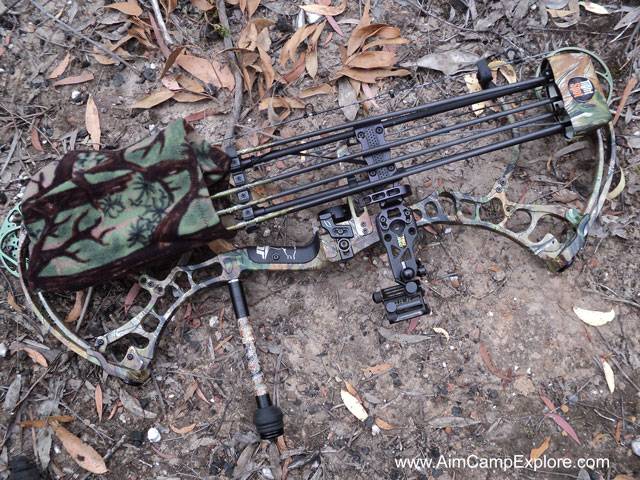 Compound bow with Bee-Stinger bowhunting stabilizer on it.